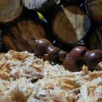 فروش کارهای چوبی دست ساز|صنایع دستی و سایر لوازم تزئینی|لاهیجان, لفمجان|دیوار