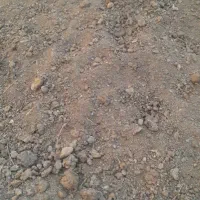 کود حیوانی|خدمات باغبانی و درختکاری|صوفیان, |دیوار