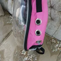 ساک حمل پرنده نو|لوازم جانبی حیوانات|تهران, فلسطین (میدان انقلاب)|دیوار