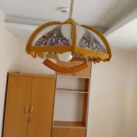 لوسترچوبی  ام دی اف تایوانی