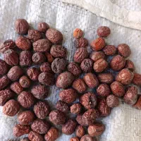 عناب دمنوشی بیرجند بلوار شعبانیه بدون خرابی دارویی|عمدهفروشی|بیرجند, |دیوار