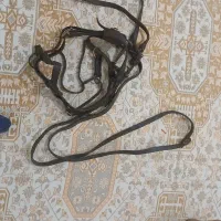 لوازم نگهداری اسب|اسب و تجهیزات اسبسواری|کندوان, |دیوار