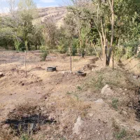 استخدام باغبان