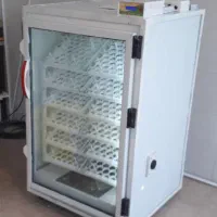 تخم نطفه دار