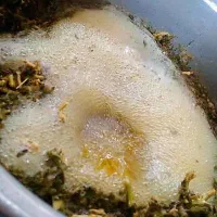 گیاهان سرحدی|خوردنی و آشامیدنی|فسا, |دیوار