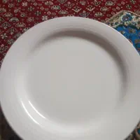 بشقاب چینی رستورانی|ظروف سرو و پذیرایی|رشت, لاکانی|دیوار