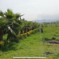 زمین-شهرکی-در-منطقه-بی-بالان