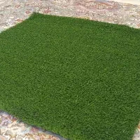 چمن مصنوعی نو ( 1 در 1 )