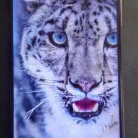 گوشی شیائومی پوکو x3pro|موبایل|ارومیه, |دیوار