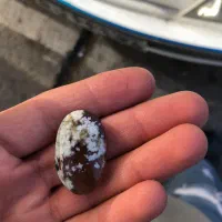 سنگ شکوفه بهاری