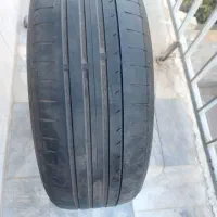 لاستیک|قطعات یدکی و لوازم جانبی|اراک, |دیوار