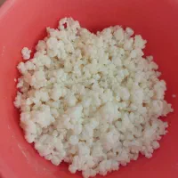 قارچ کفیر سالم و فعال