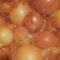 پیاززرد طلایی تبریز