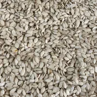 تفت و شورکاری،خرید و فروش خشکبار خام و شور|عمده‌فروشی|شیراز, شهرک گلها|دیوار
