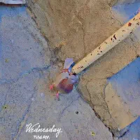 یک کبوتر شازده و یک کات تهرانی|پرنده|کنگاور, |دیوار