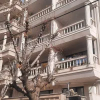 آیت-اله-کاشانی-200-متر-تکواحدی