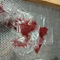 زعفران سوپر نگین درجهیک100٪|عمدهفروشی|شوط, |دیوار