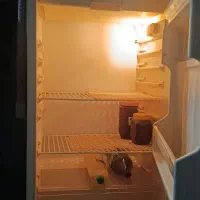 یخچال ۱۰ فوت سالم