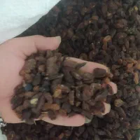 کشمش اب گیری