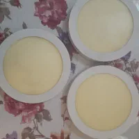 ۳ عدد پنل مهتابی