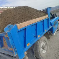 ماسه ، نخودی