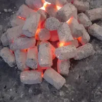 ۲ تن زغال کبابی