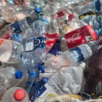 خرید کارتن و کاغذ انواع ضایعات|عمدهفروشی|مشهد, خواجه ربیع|دیوار