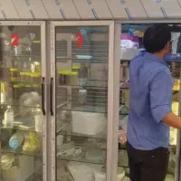 تعمیرات یخچال خانگی فروشگاهی صنعتی با ضمانت|خدمات پیشه و مهارت|شیراز, فضلآباد|دیوار