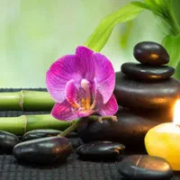 ماساژ ریلکسی و سنگ داغ با یک سوم قیمت|خدمات آرایشگری و زیبایی|مشهد, تربیت (صدف)|دیوار