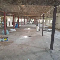 مرغداری ۴۰۰۰ قطعه ایی.ویک واحد ۸۰۰۰ قطعه زمانیان.|فروش دفتر صنعتی، کشاورزی، تجاری|نهاوند, |دیوار