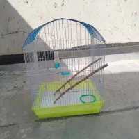 قفس
