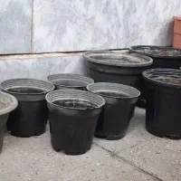 گلدان