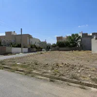 زمین-جنوبی-با-سند-تک-برگ