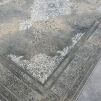 فرش شایراد