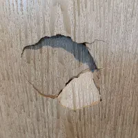 تعمیر شکستگی فررفتگی پوسیدگی درب