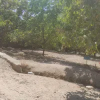 2000متر زمین