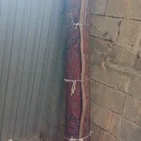 فرش دست باف ۱۲متری
