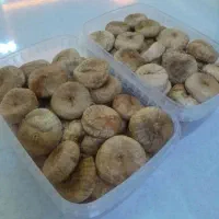 پرکاشن انجیل درشت تمیز سالم برای یلدا ۱۸۰تومن|درام و پرکاشن|زنجان, |دیوار