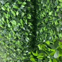 فنس برگ ریحون|گل مصنوعی|یزد, |دیوار