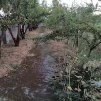 باغ ویلادرشهرقوشچی