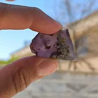 نگین شجر و چند قطعه شجر کلکسیونی