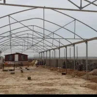 گلخانه|عمدهفروشی|اردبیل, |دیوار