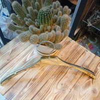 پرده اتاق پرو در رنگبندی انواع چوبکار رگال مبرهن|فروشگاه و مغازه|رشت, استادسرا|دیوار