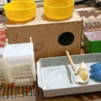 لوازم جانبی پرنده|لوازم جانبی حیوانات|تهران, افسریه شمالی|دیوار