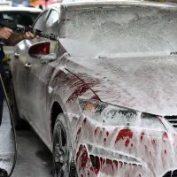 نیروی کار در کارواش