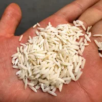برنج هاشمی درجه یک