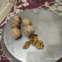 گردو خشک درشت
