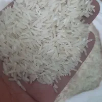 برنج فجر محلی درجه یک