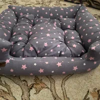 جای خواب و ظرف غذا سگ و گربه