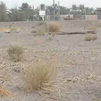 دو دهنه مغازه سه راه بوینگ